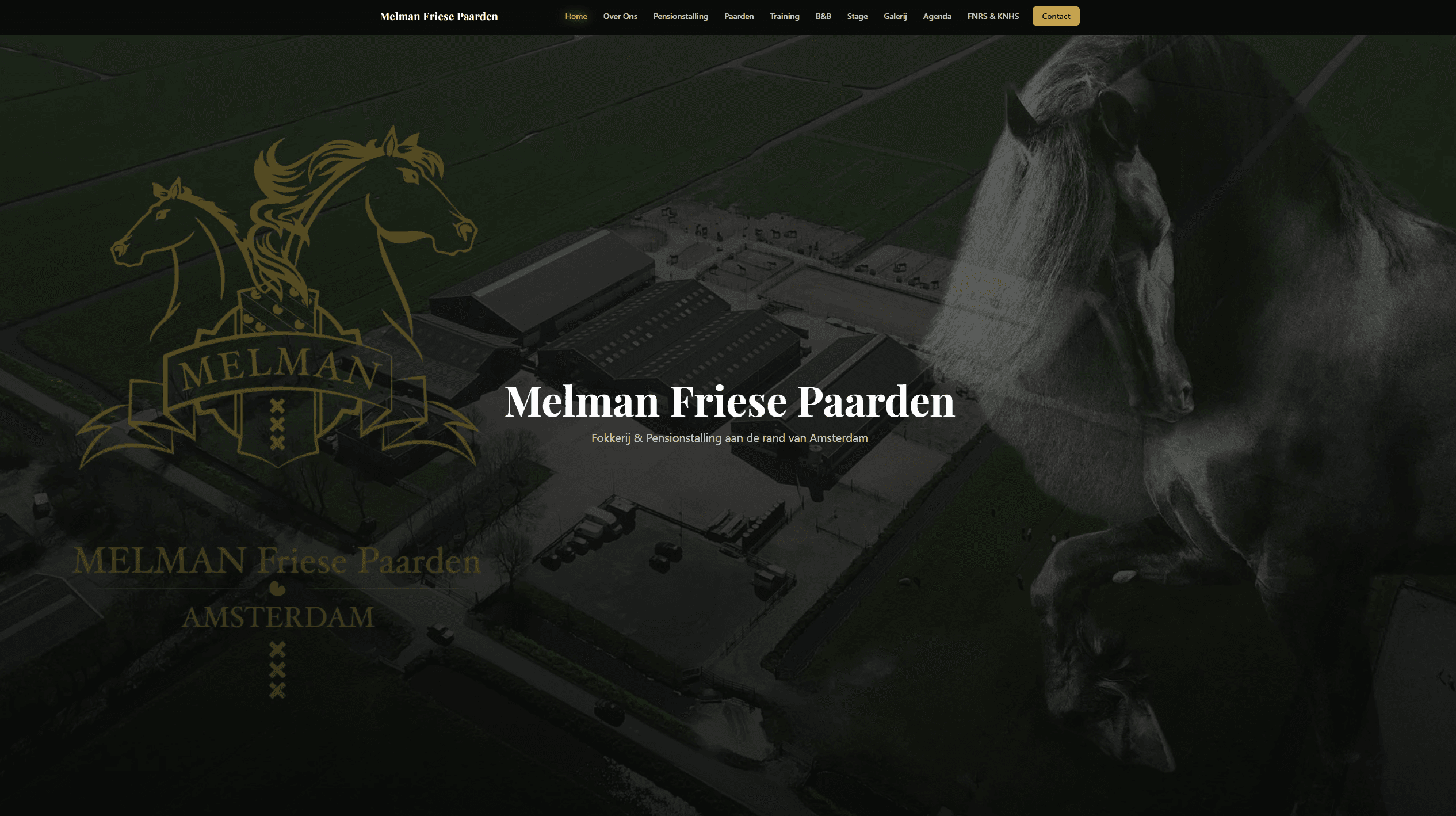 Melman Friese Paarden